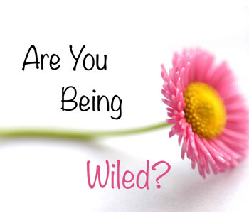 Are You Being Wiled?