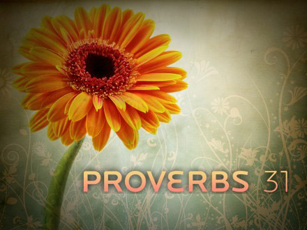 Oh No, Not Another Proverbs 31 Article!