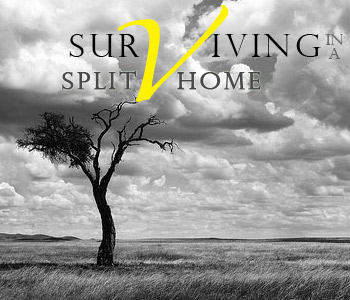 Surviving in a Split Home