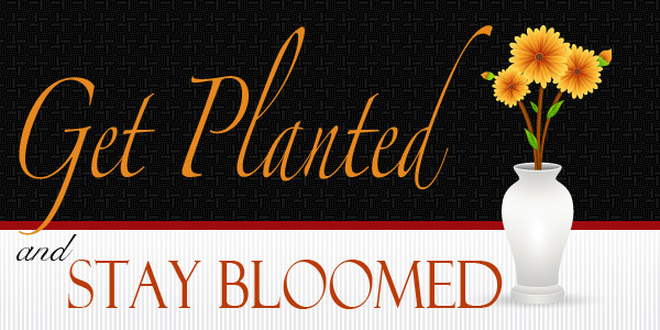 Get Planted and Start Blooming