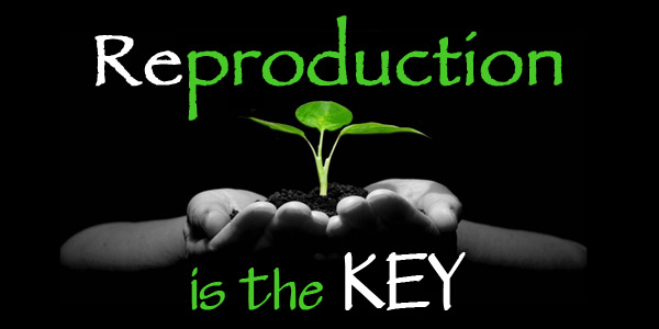 Reproduction is the Key