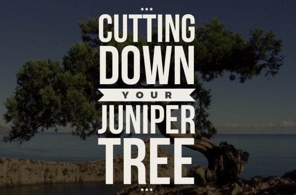 Cutting Down Your Juniper Tree